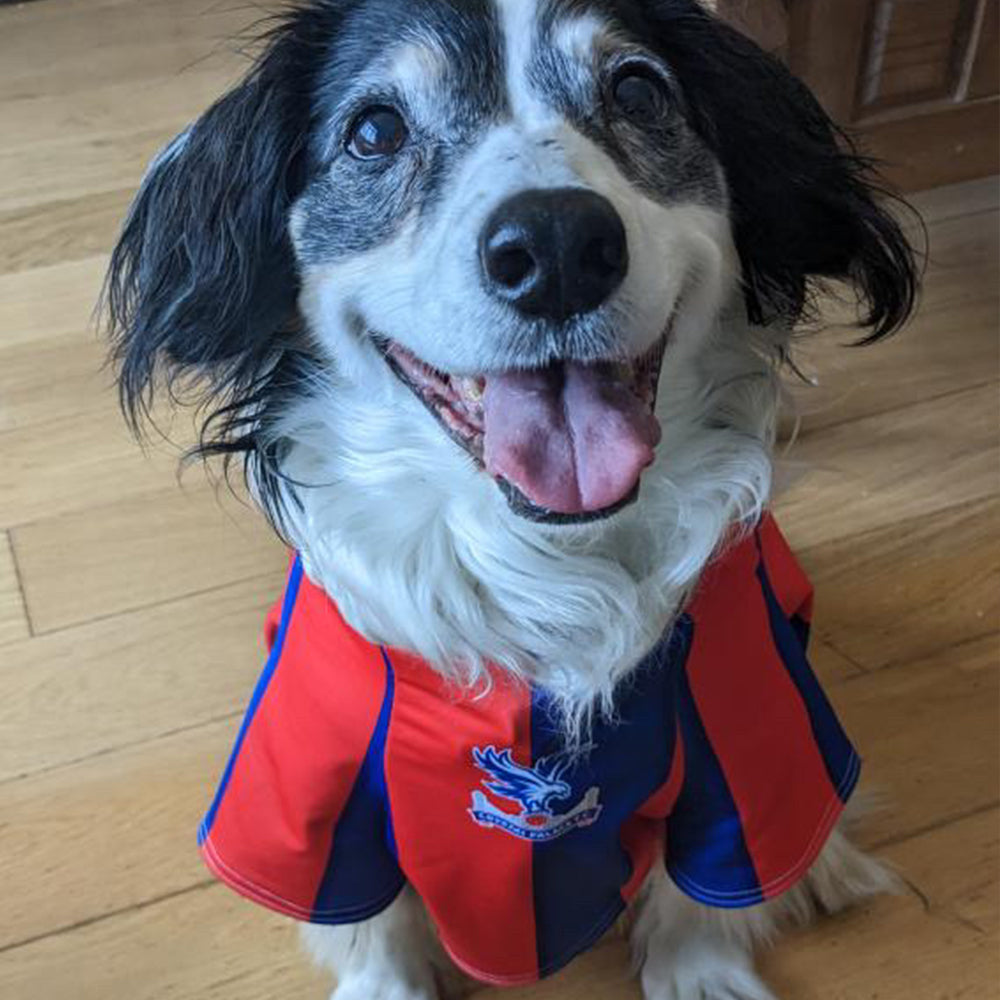 Crystal Palace Personalised football Dog Shirt