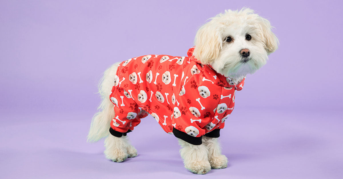 ledsager Medicin Rejse Your Dog On A T-Shirt | Personalised Dog Photo T-Shirts