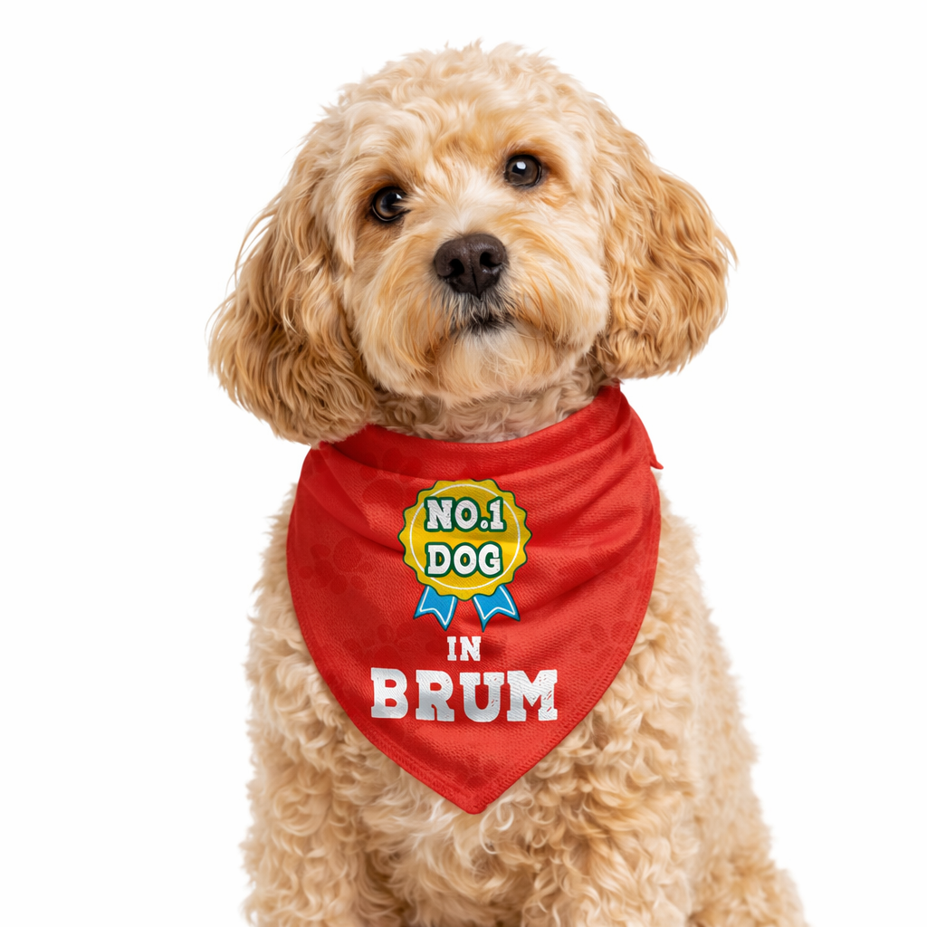 No 1 Dog in (Place Name) Personalised Bandana