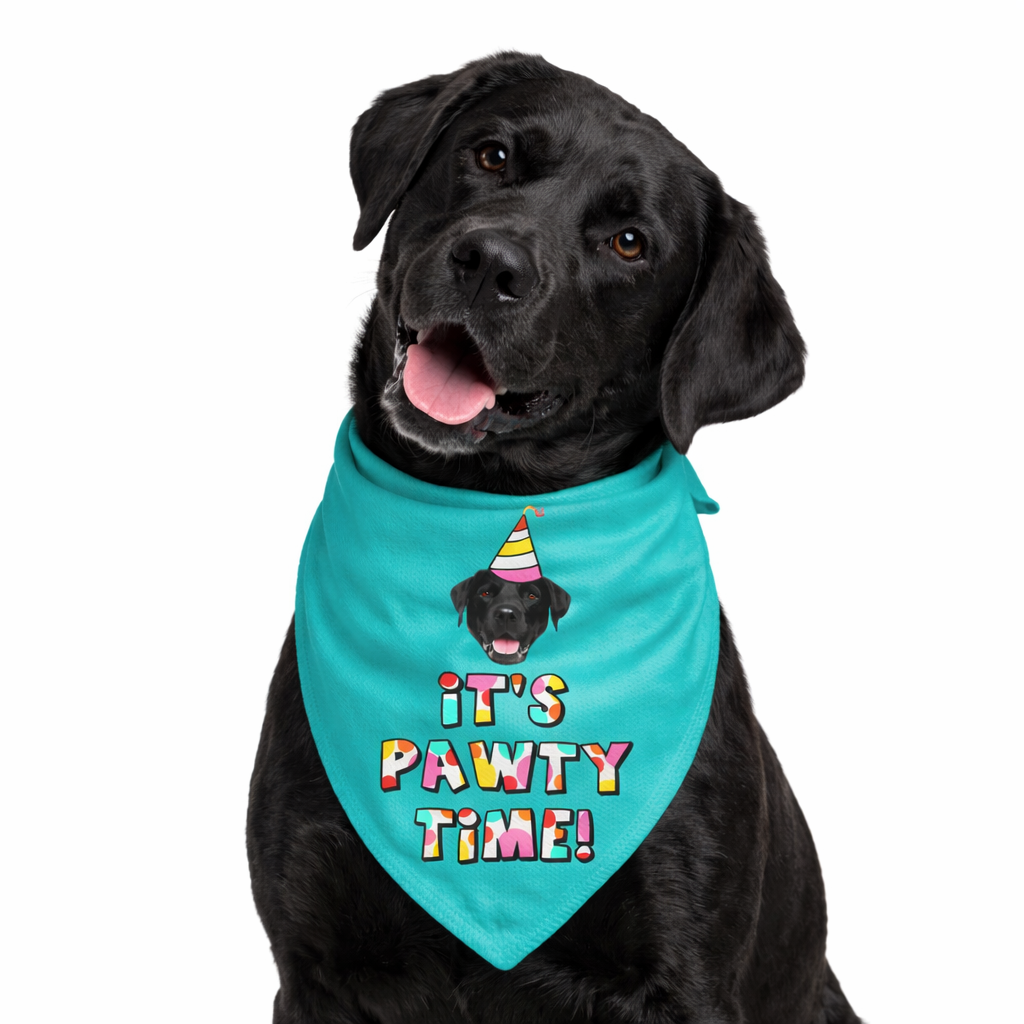 It's Pawty Time Personalised Dog Bandana