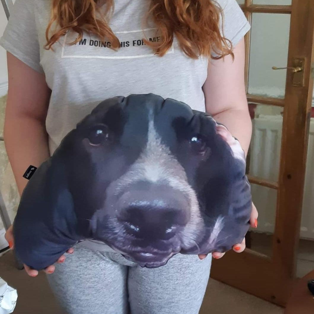 Your Dog Monster Face Cushion