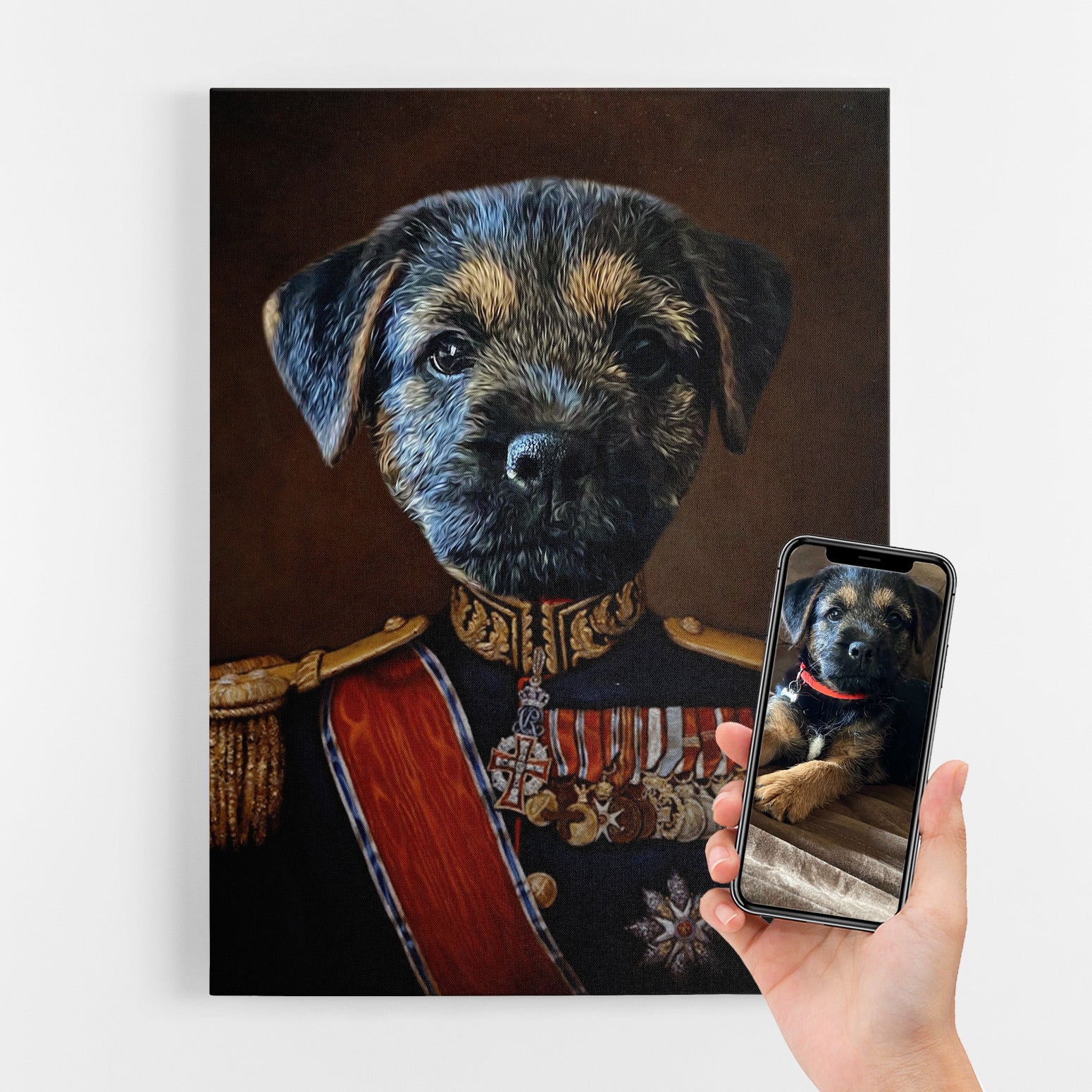 Major Dog Portrait