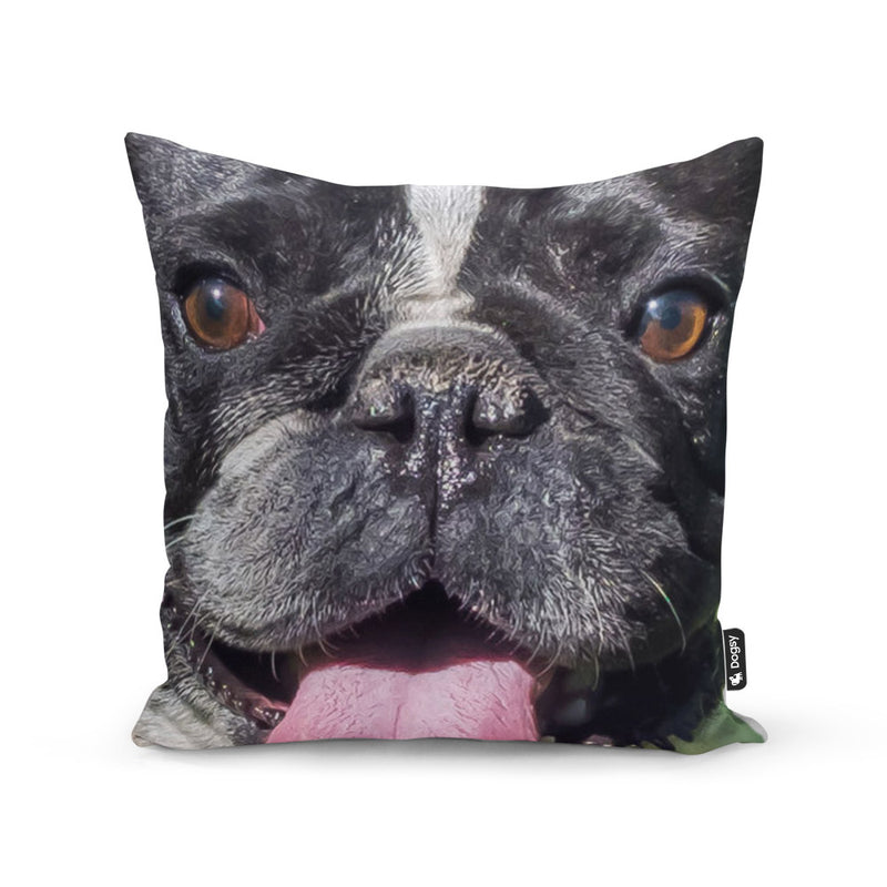 Personalised Dog Cushions - Dogsy Cushions | Dogsy
