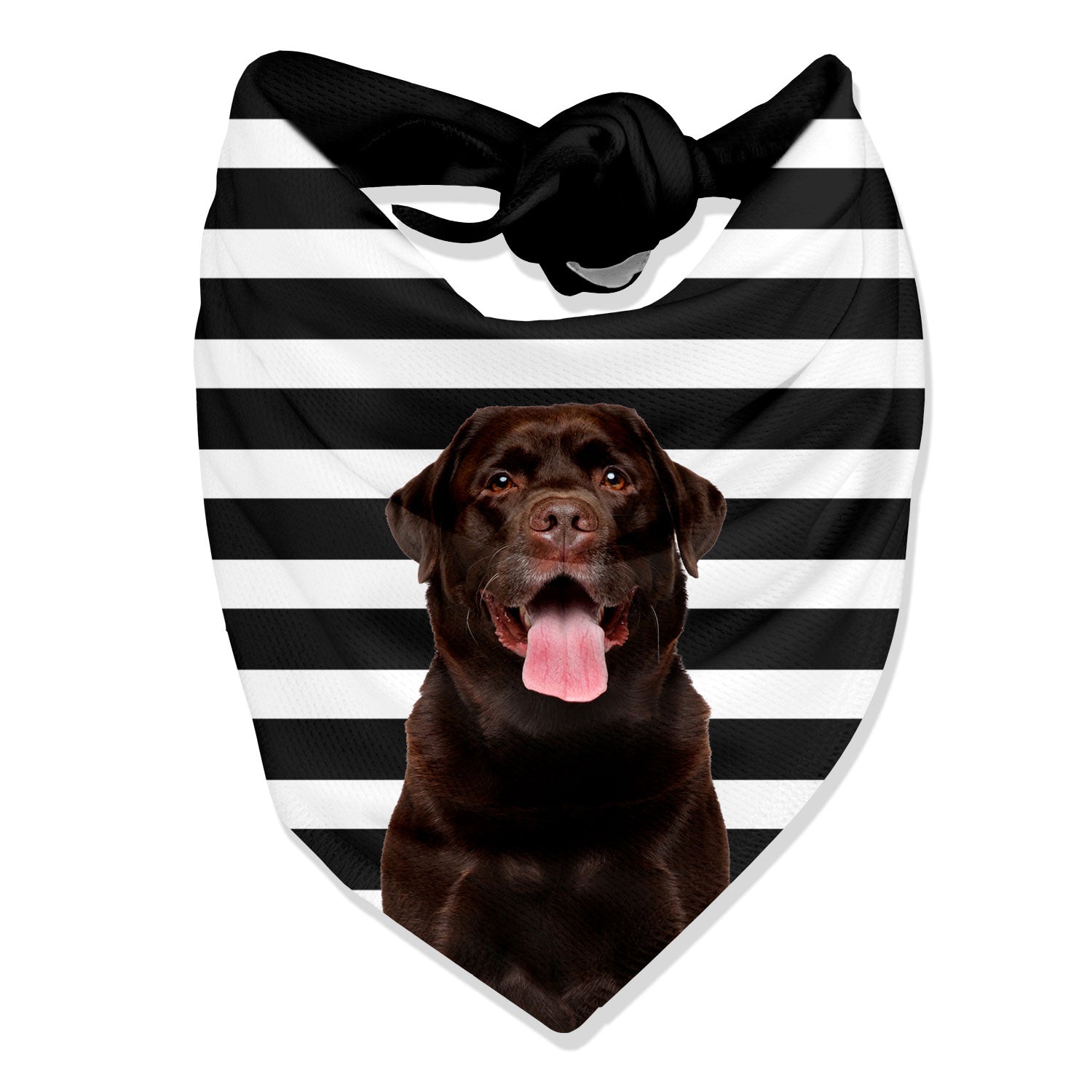 personalised dog bandana with stripes
