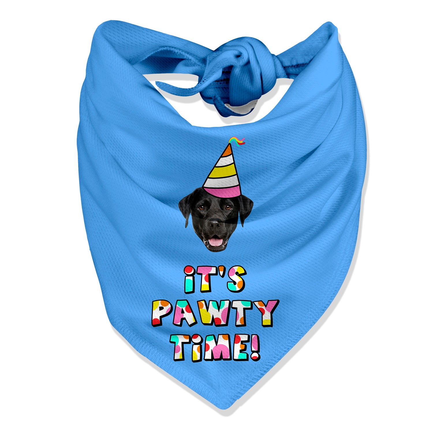 party dog bandana
