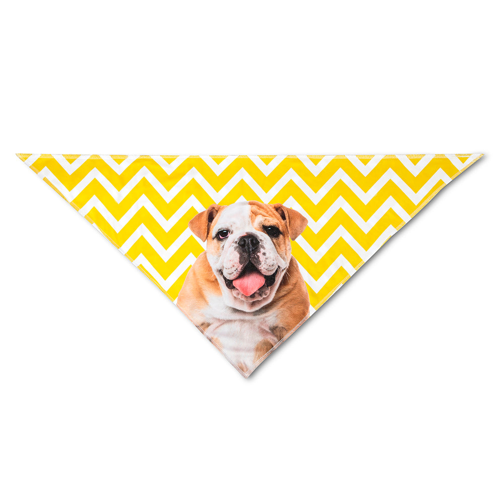 Dogsy Personalised Zigzag Bandana