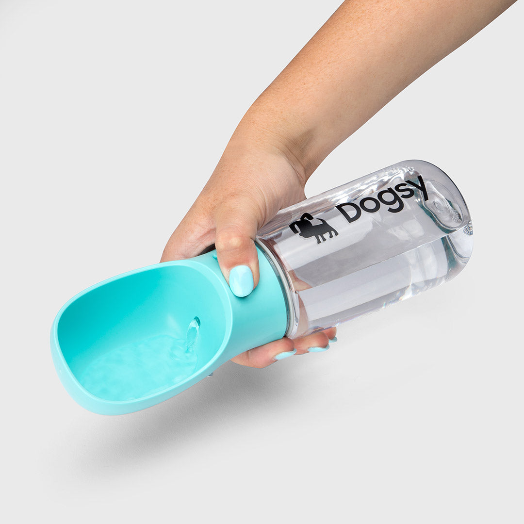 Teal Dog Water Bottle