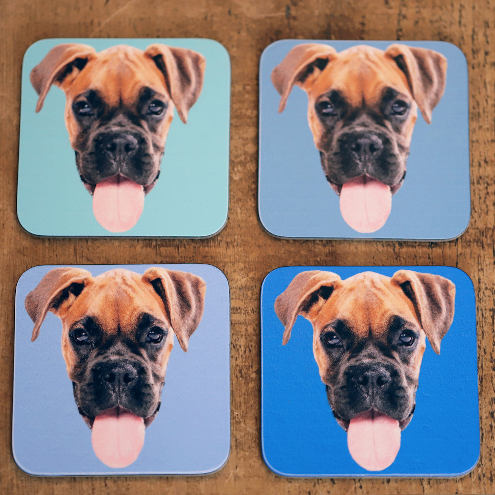 Dog Face Coasters