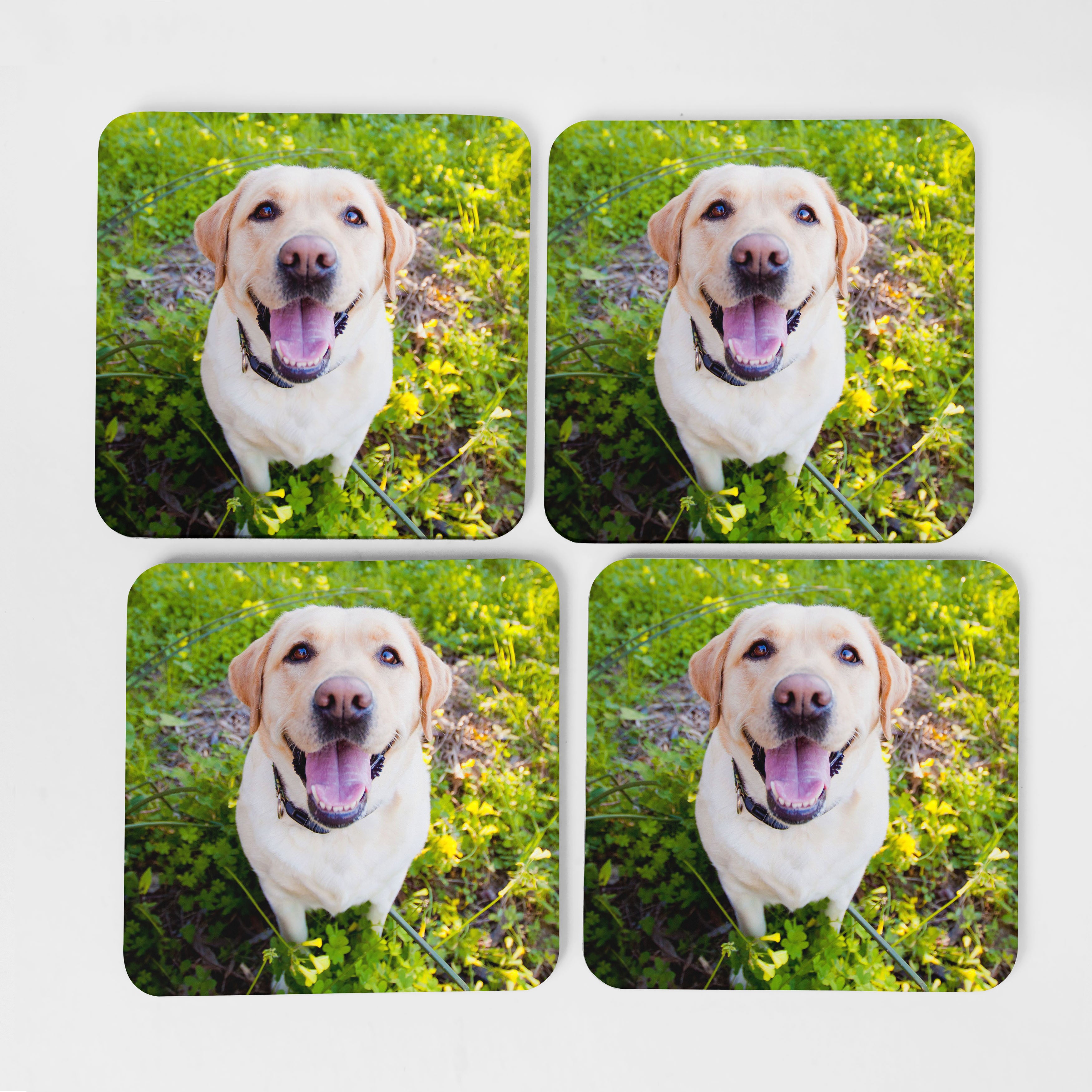 Dog Photo Coasters