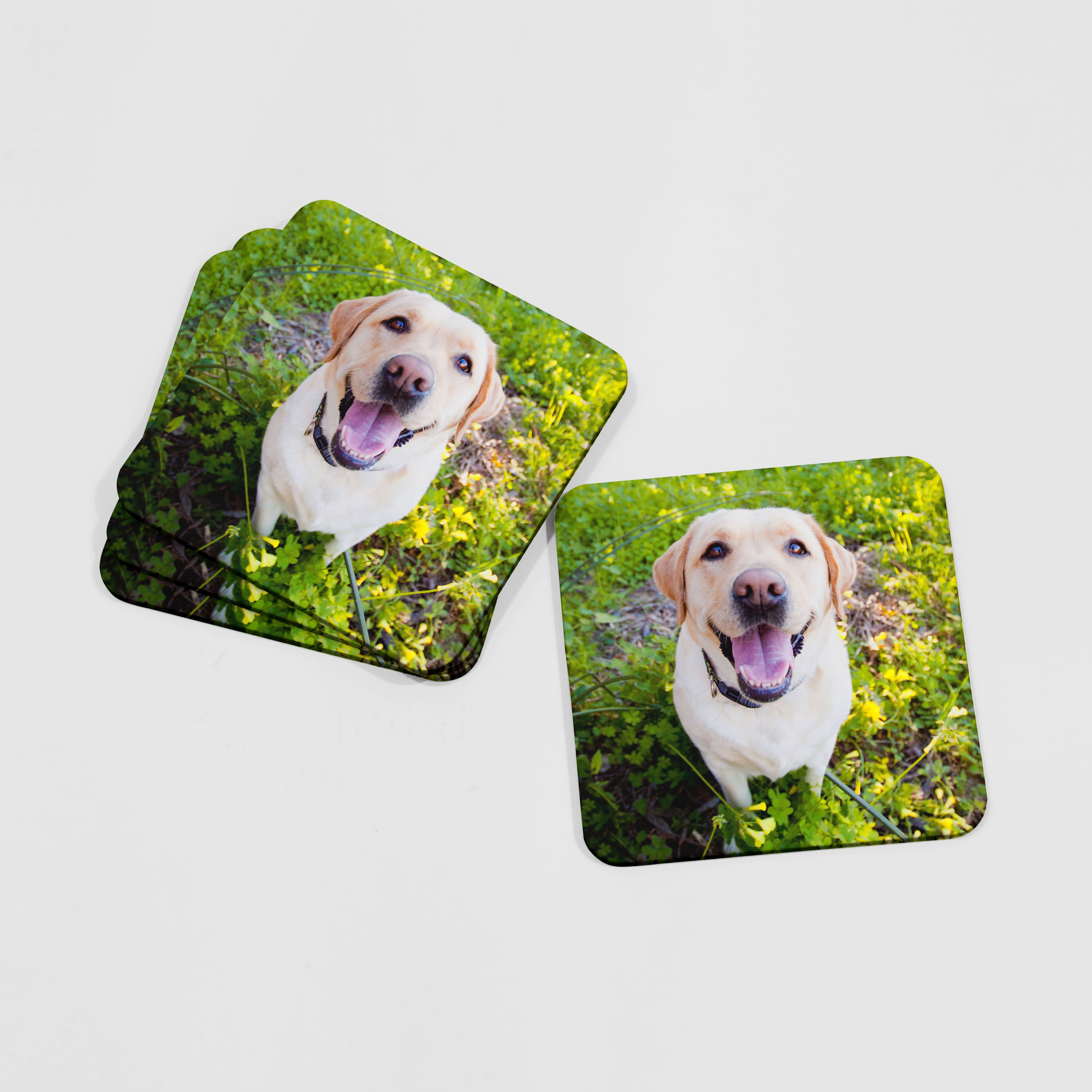 Dog Photo Coasters