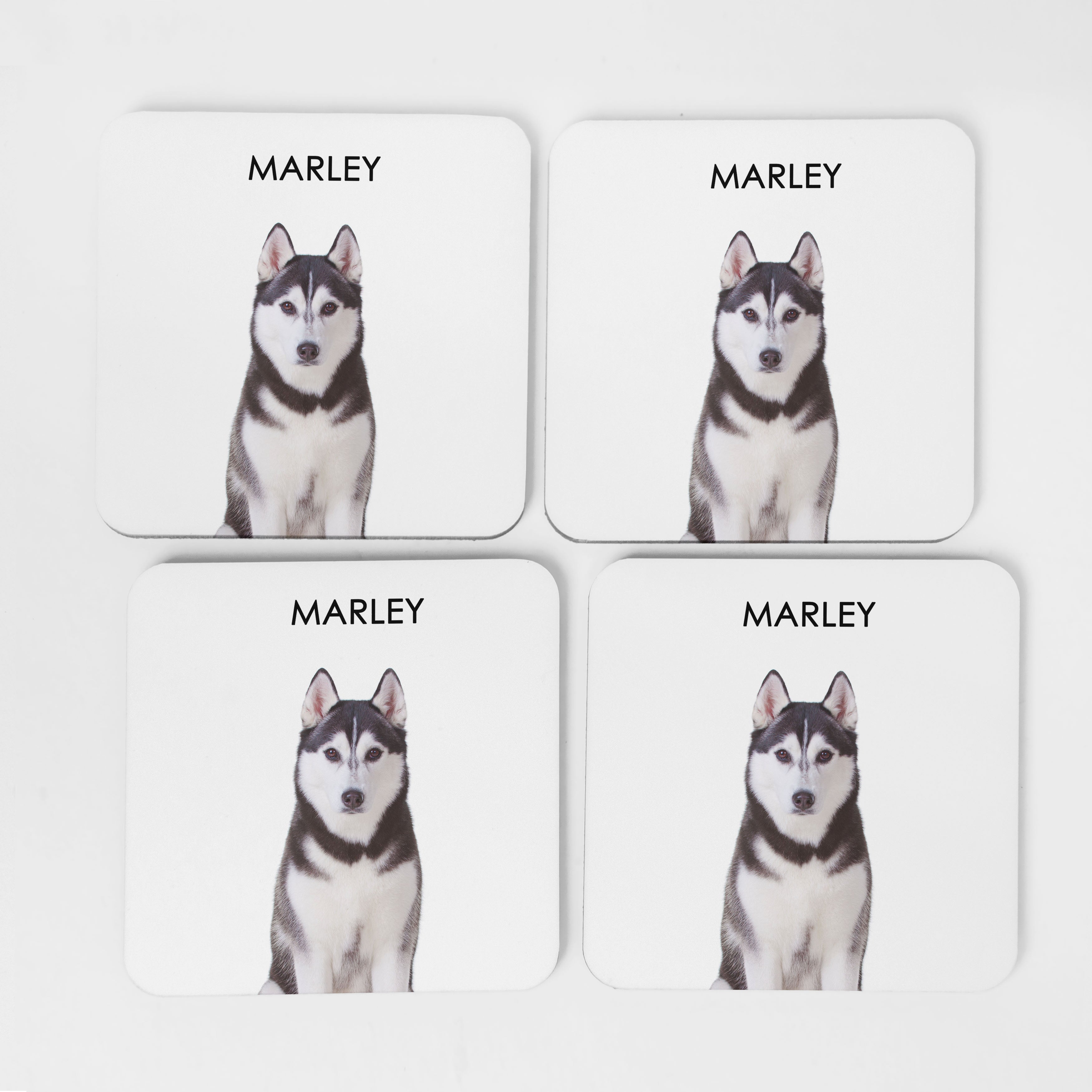 Custom Dog Portrait Coaster