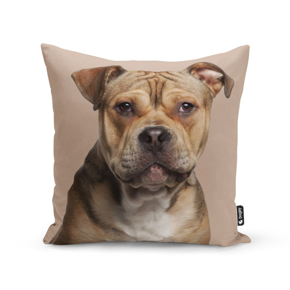 My Dog On A Photo Cushion