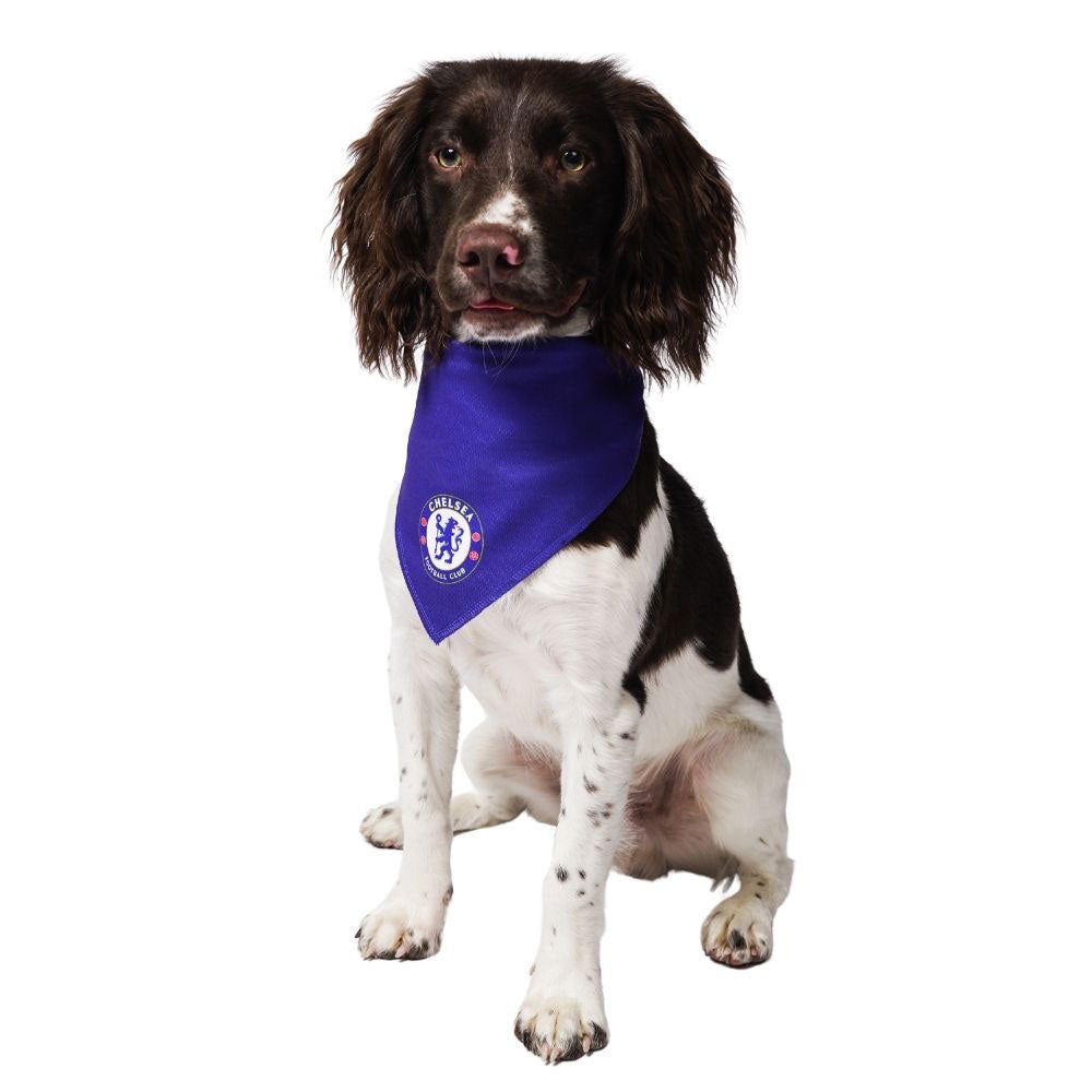 chelsea football dog bandana