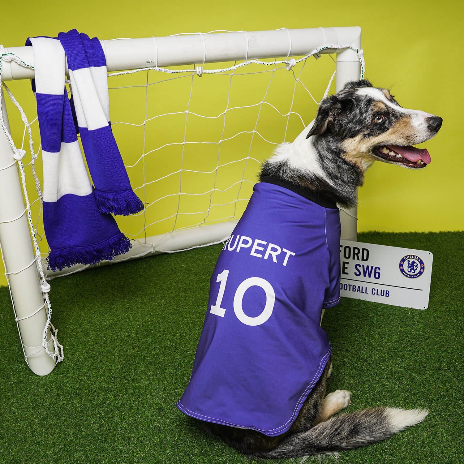 Official Chelsea FC Dog Football Shirt