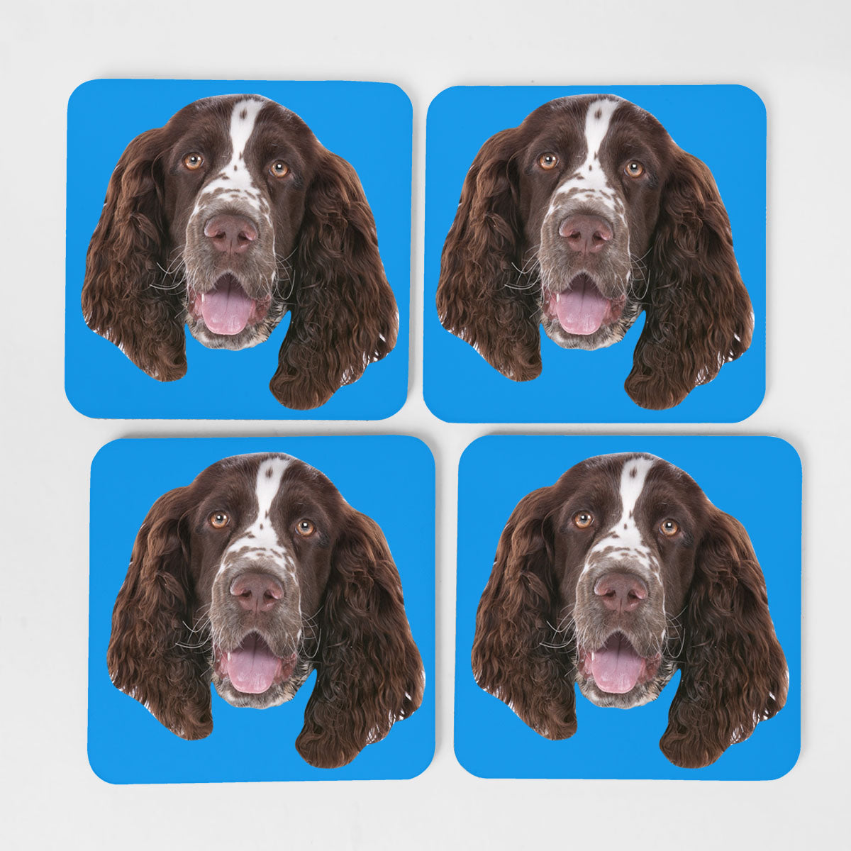 Your Dog Coasters