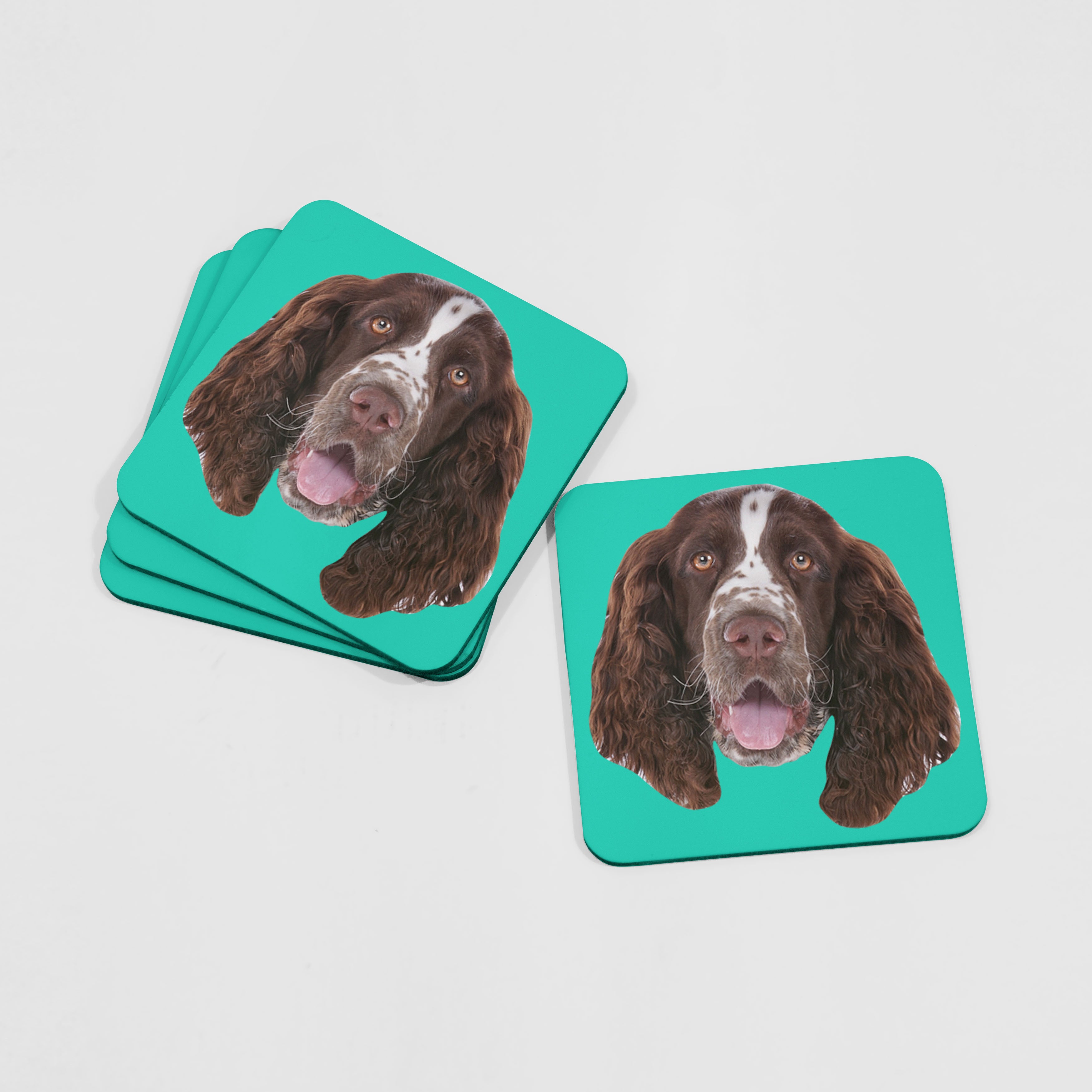 Your Dog Coasters
