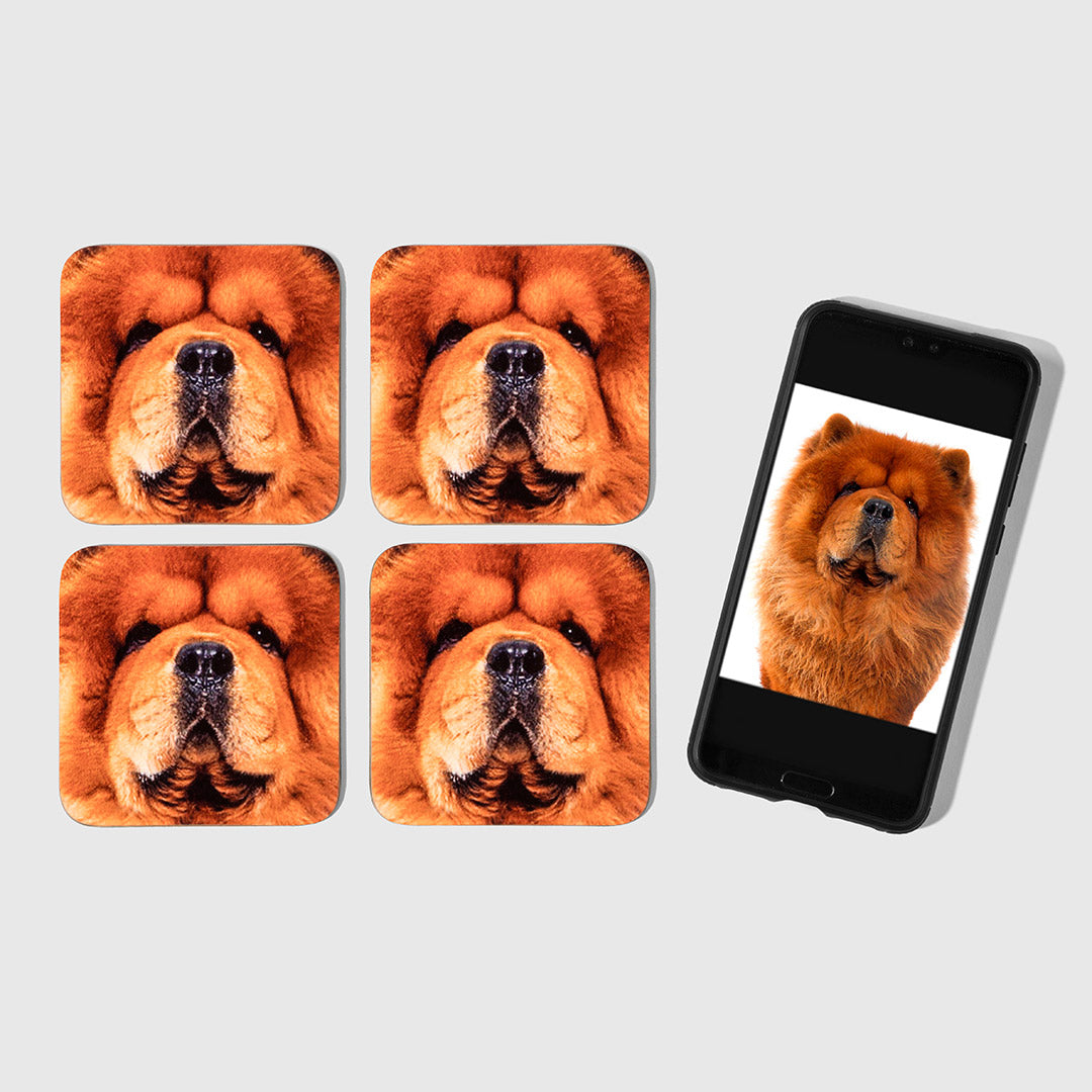 Dogs Photo On Coasters