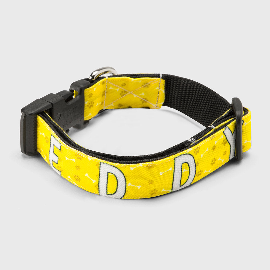 Your Dog Name Collar