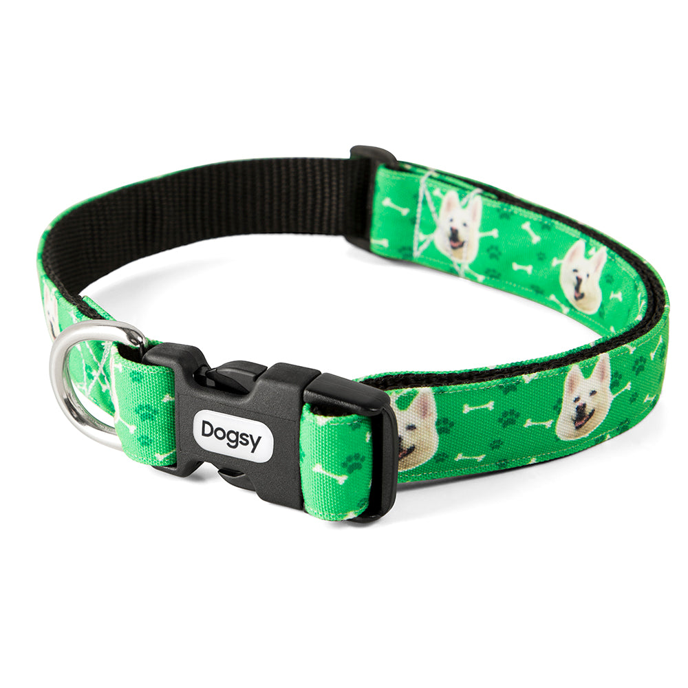Dog Photo Collar