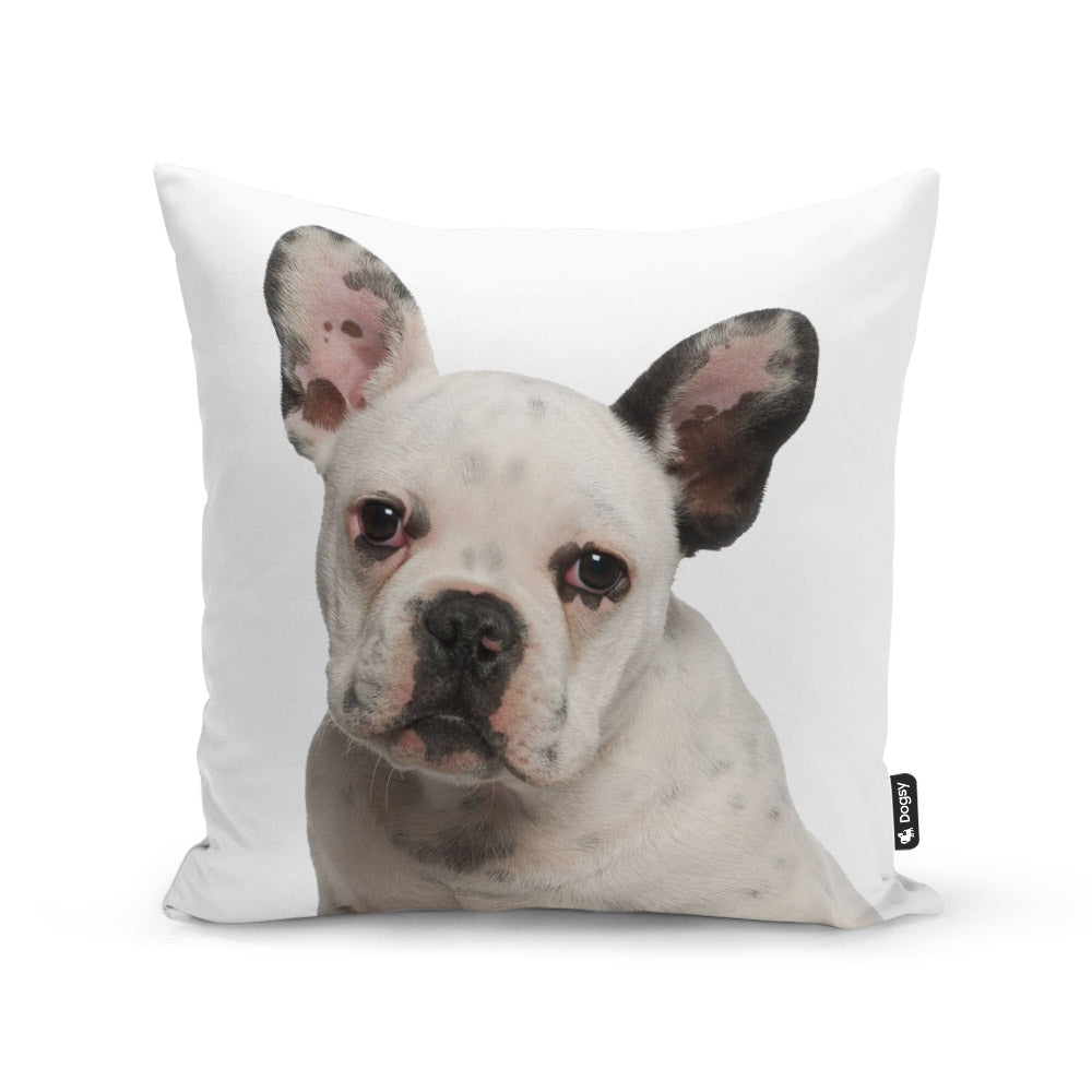 Print My Dogs Photo On A Cushion