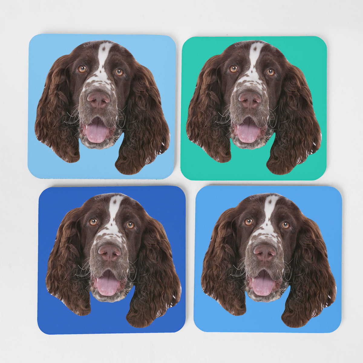 Your Dog Coasters - Colour Sets