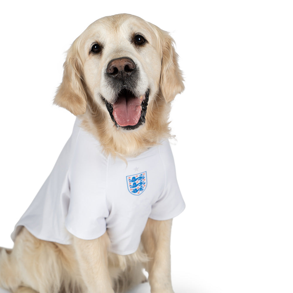 England Dog Shirt