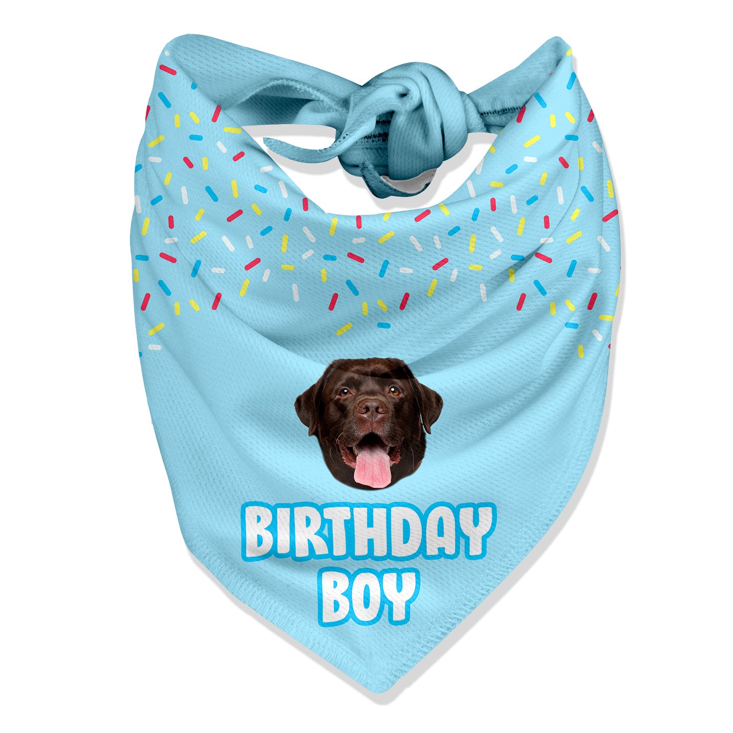 dog birthday bandana