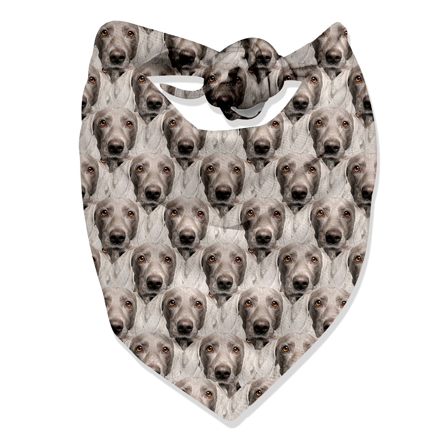 face mash dog bandana