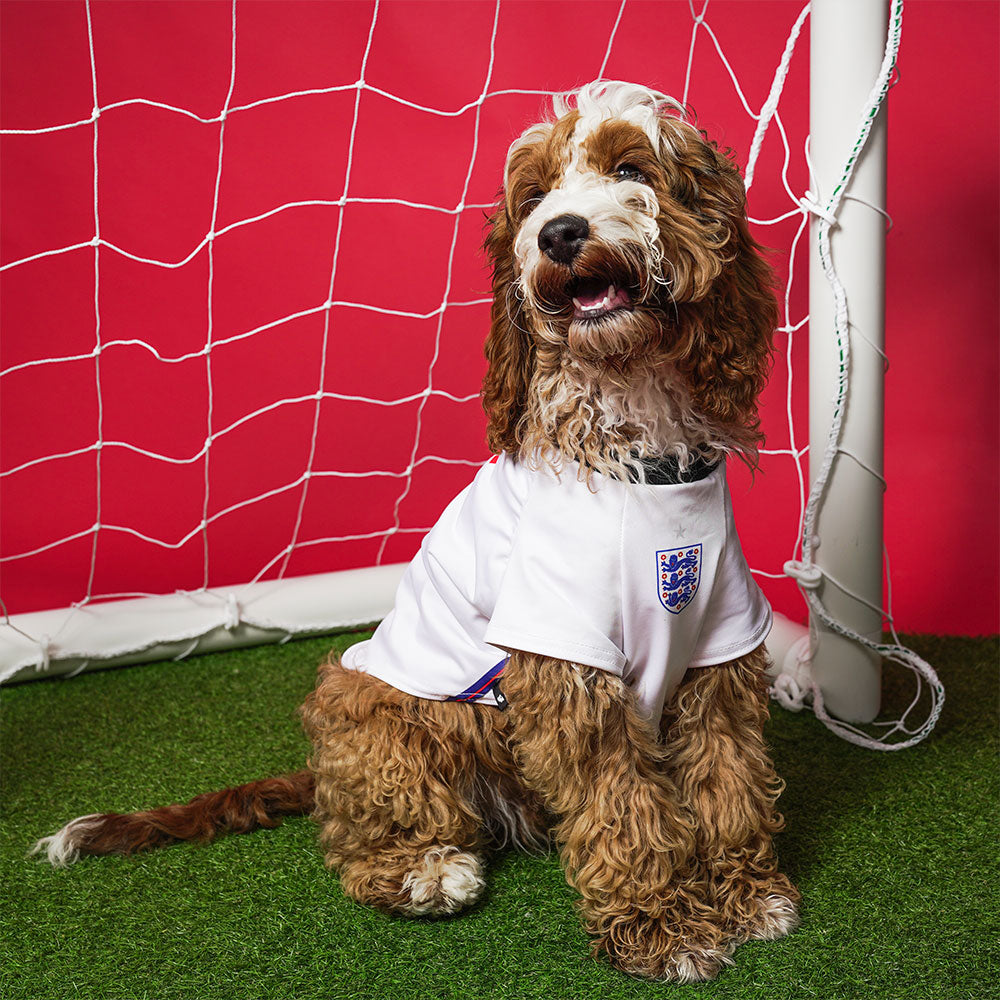 England Football Shirt for Dogs Personalised