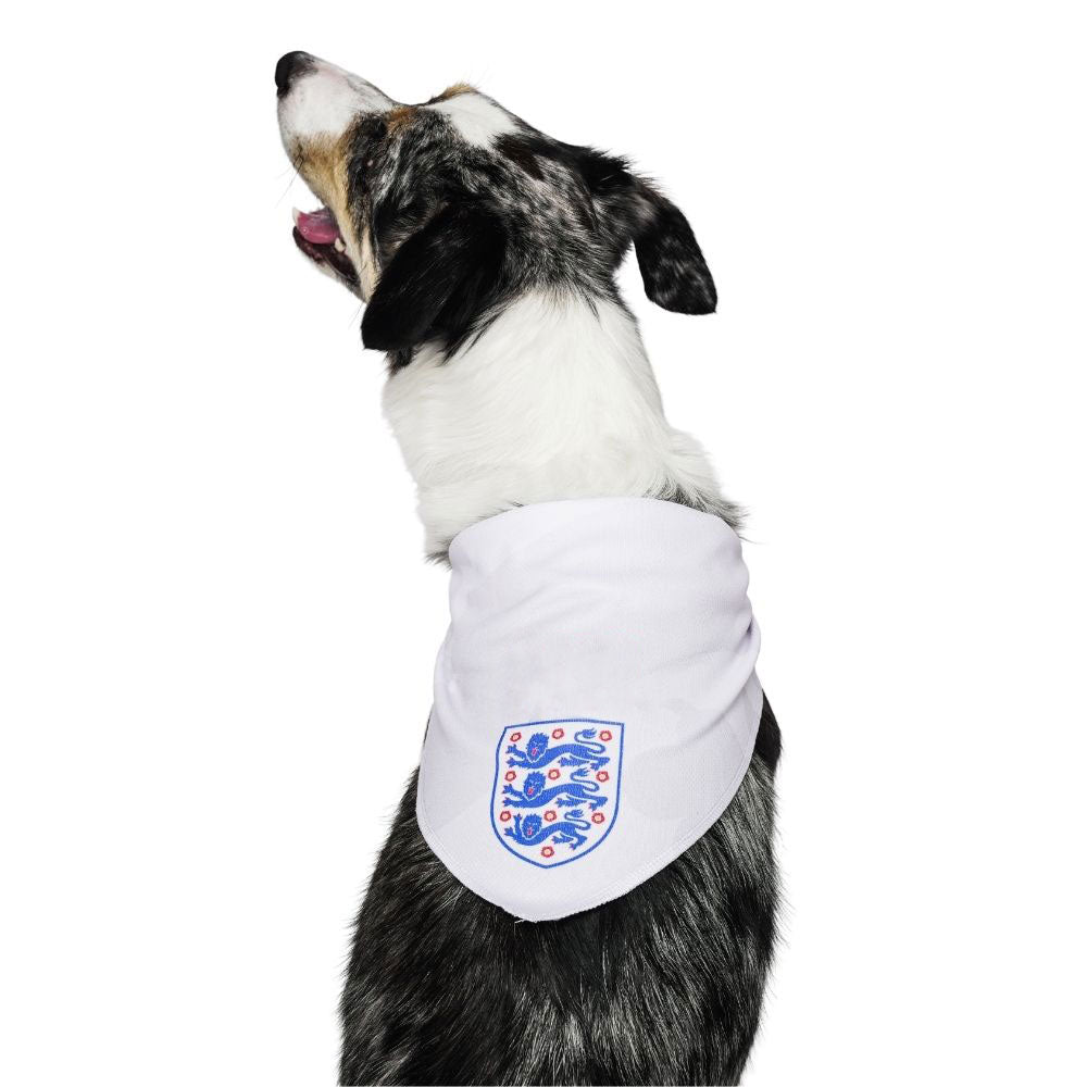 England Dog Bandana