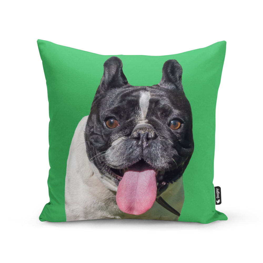 Dogs Face On A Cushion