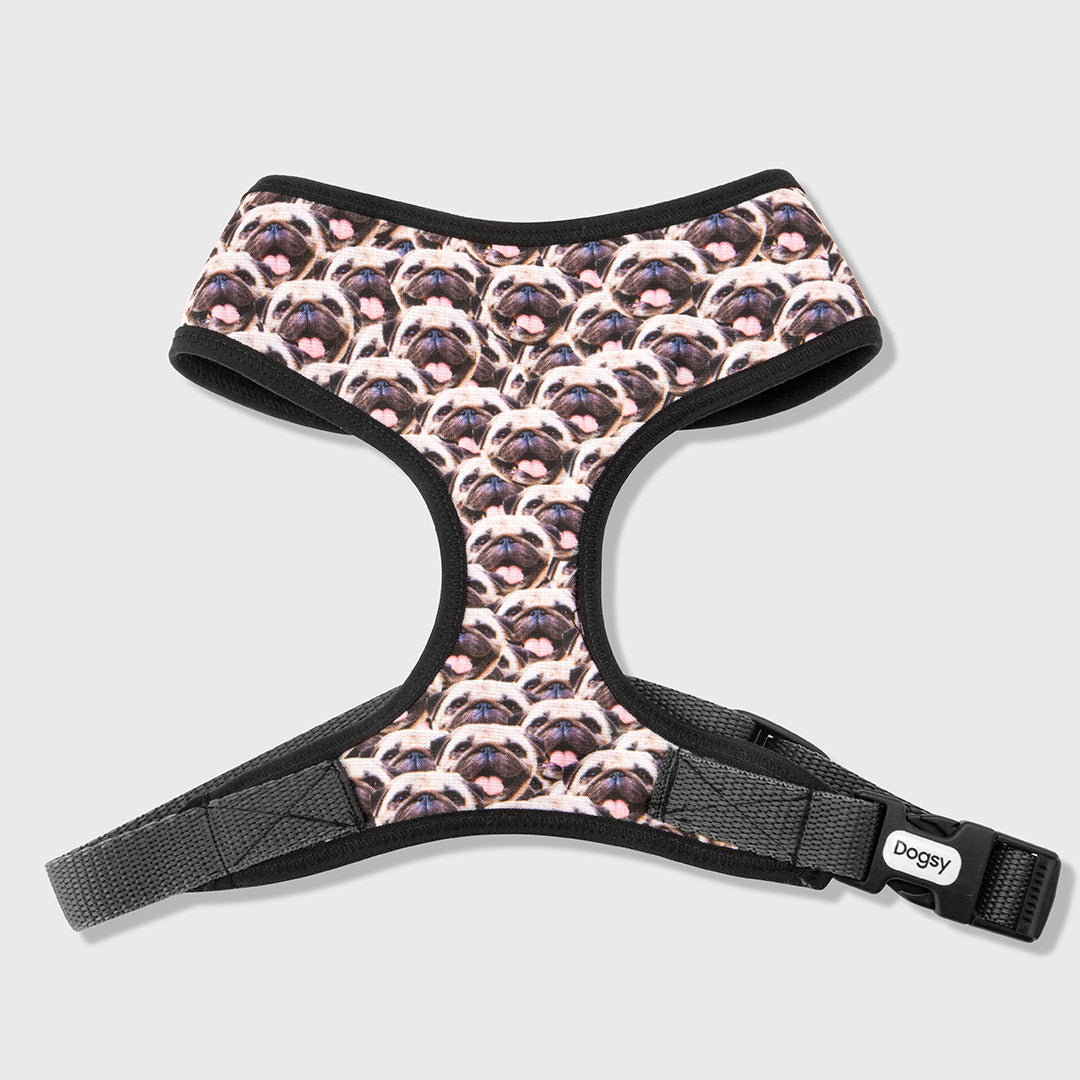 Face Mash Dog Harness