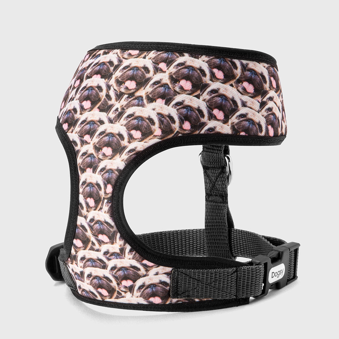 Mash Up Dog Harness