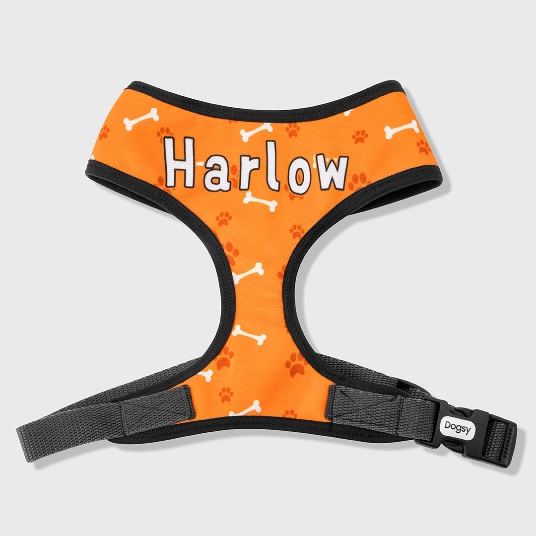 Personalised Dog Name Harness