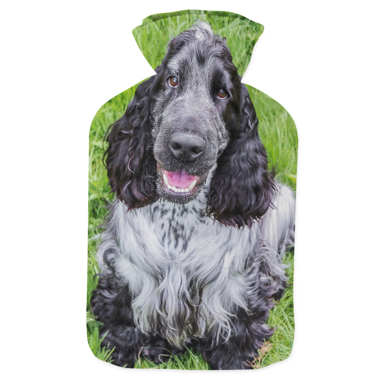 cute personalised dog hot water bottle