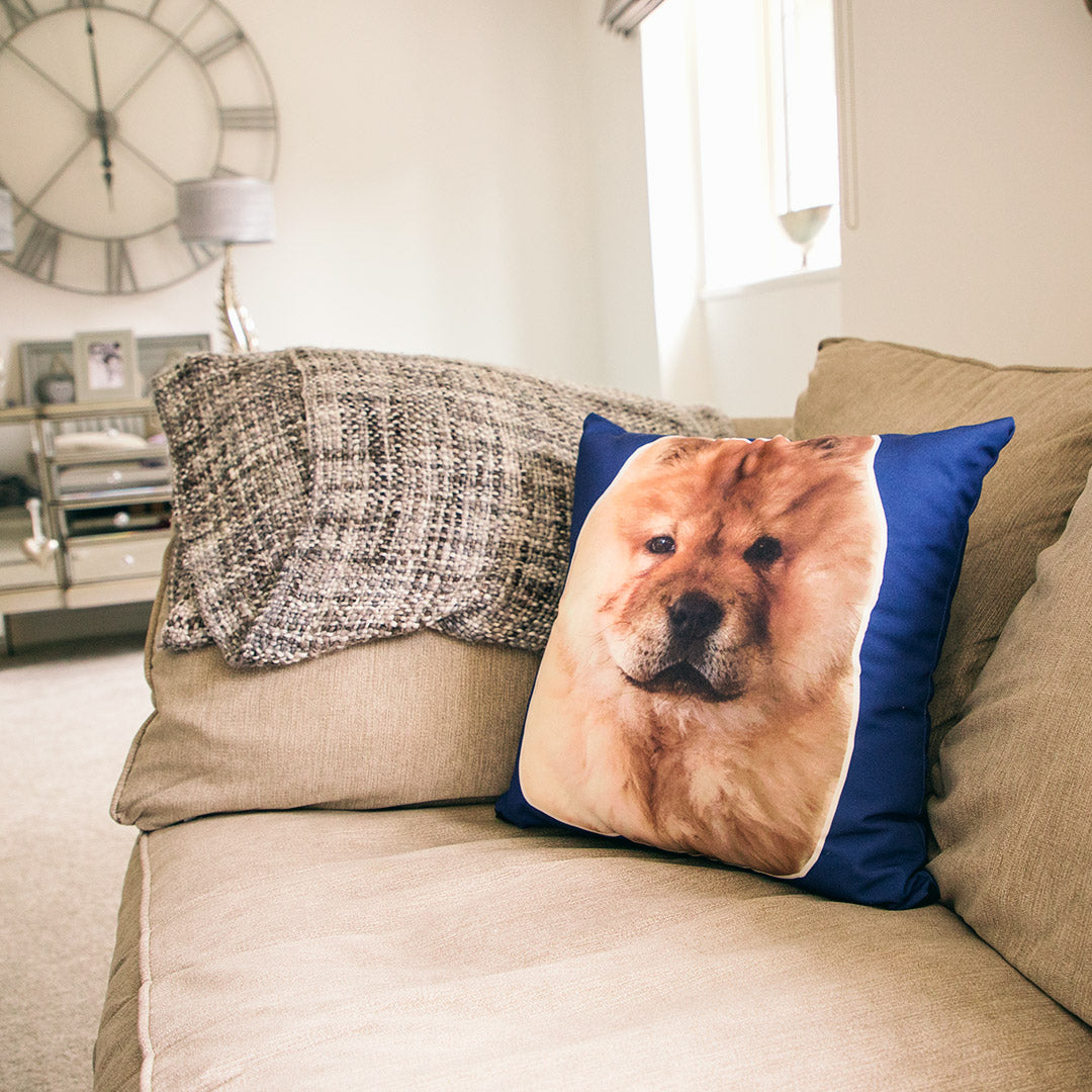 Your Dog On A Cushion