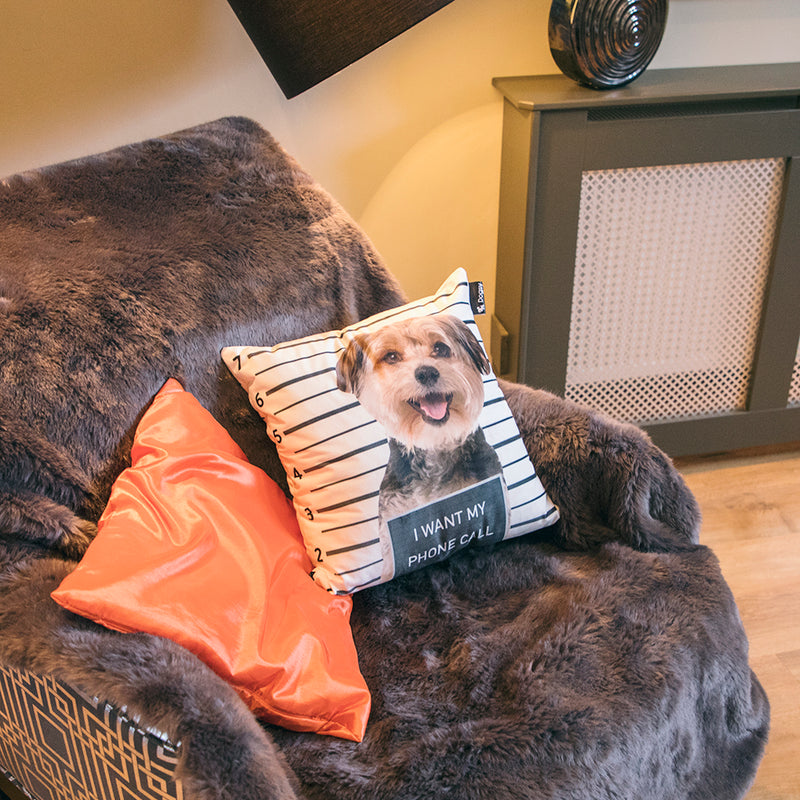 Personalised Dog Cushions Dogsy Cushions Dogsy