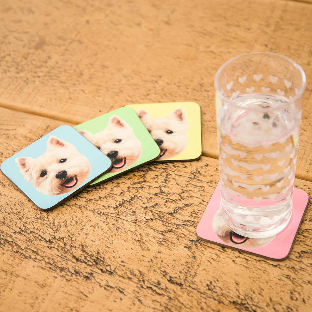 Your Dog Coasters