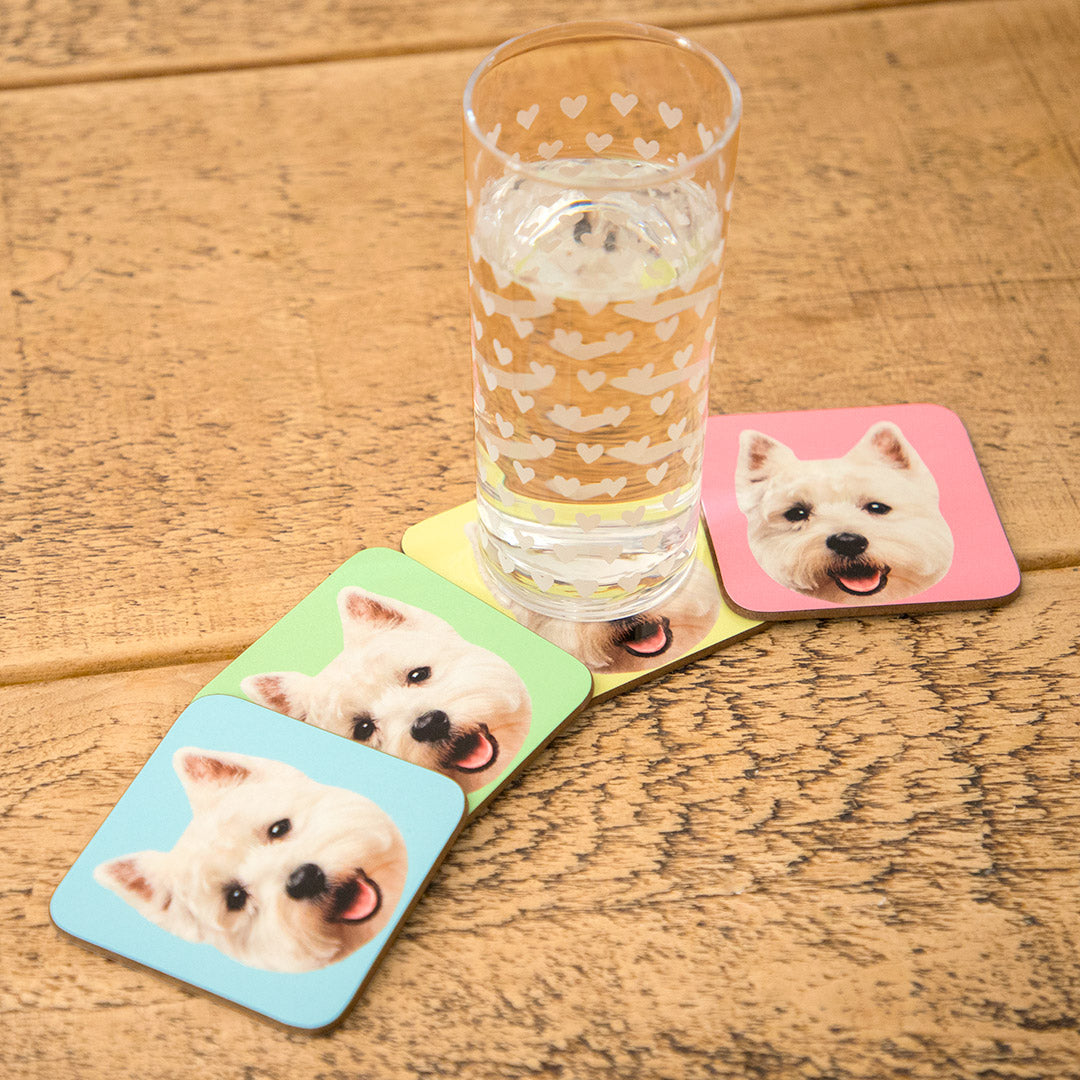 Your Dog Photo Coasters