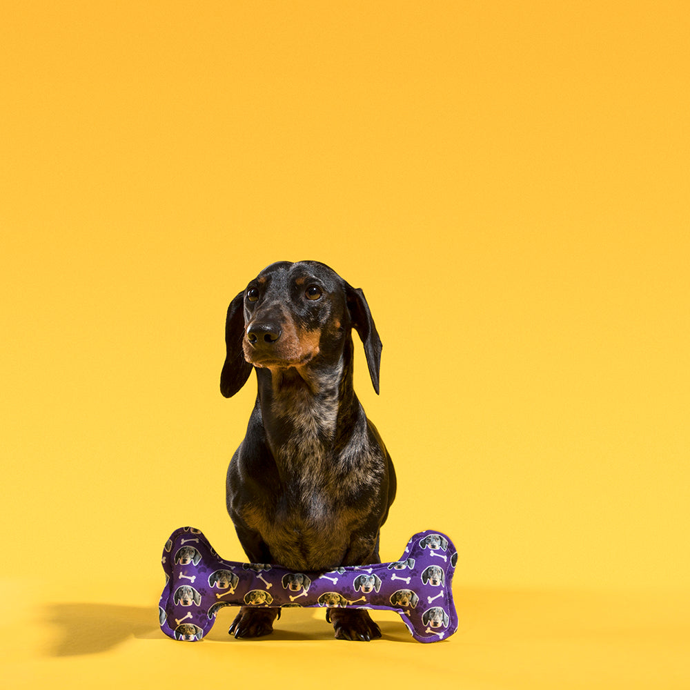 Dog Photo Bone Toy