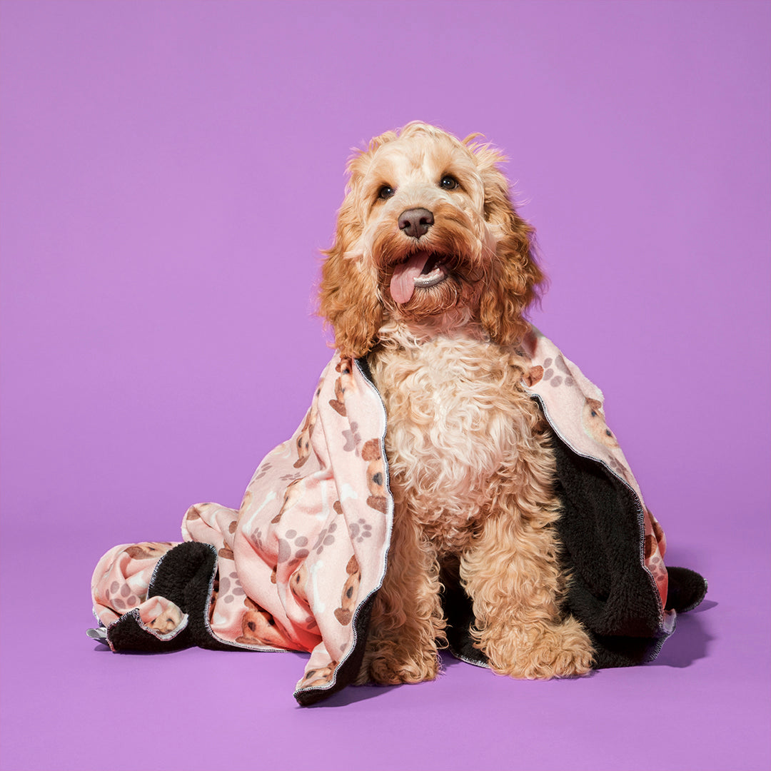 The Dogsy Personalised Dog Blanket