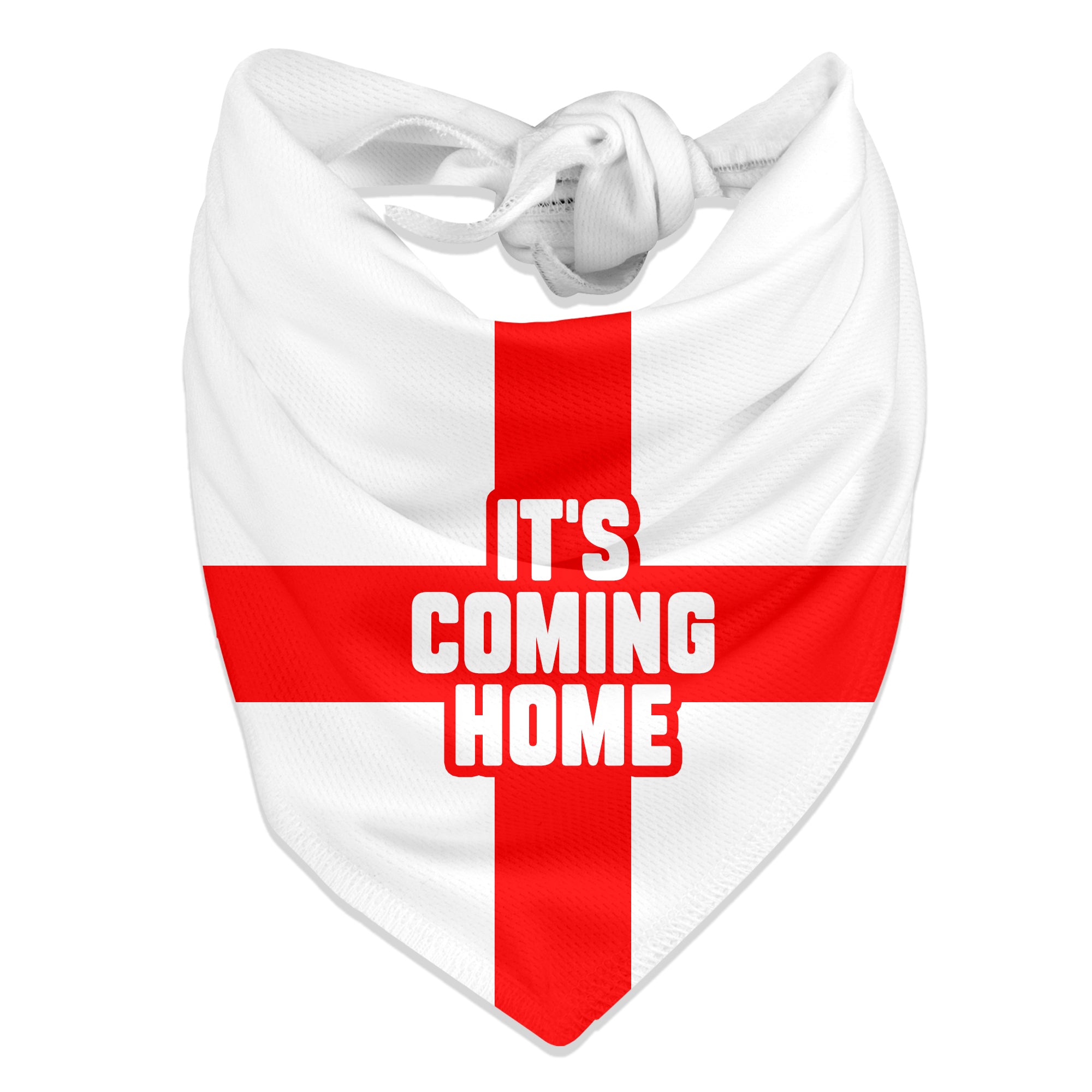 its coming home dog bandana