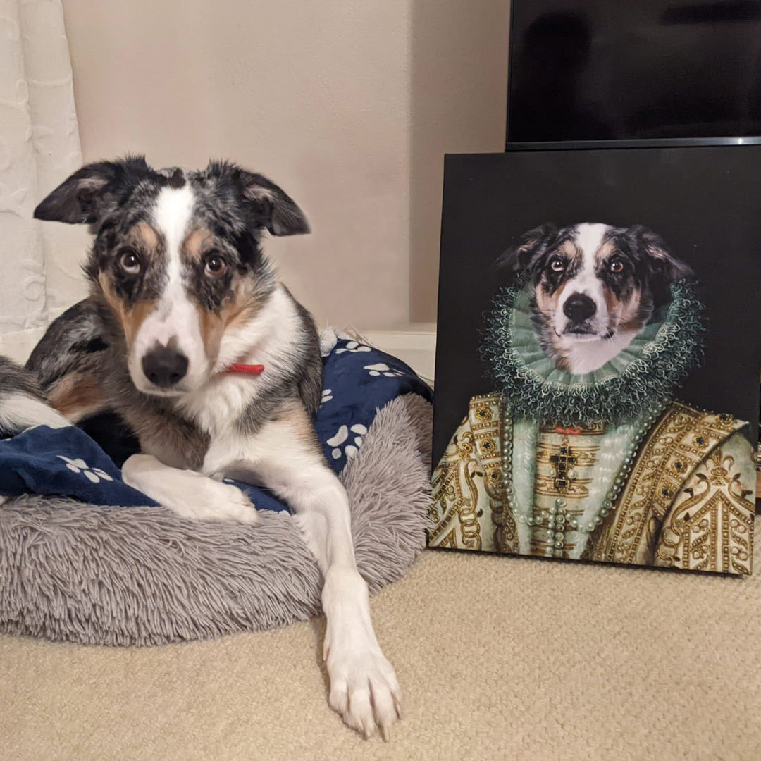 Lady Dog Portrait