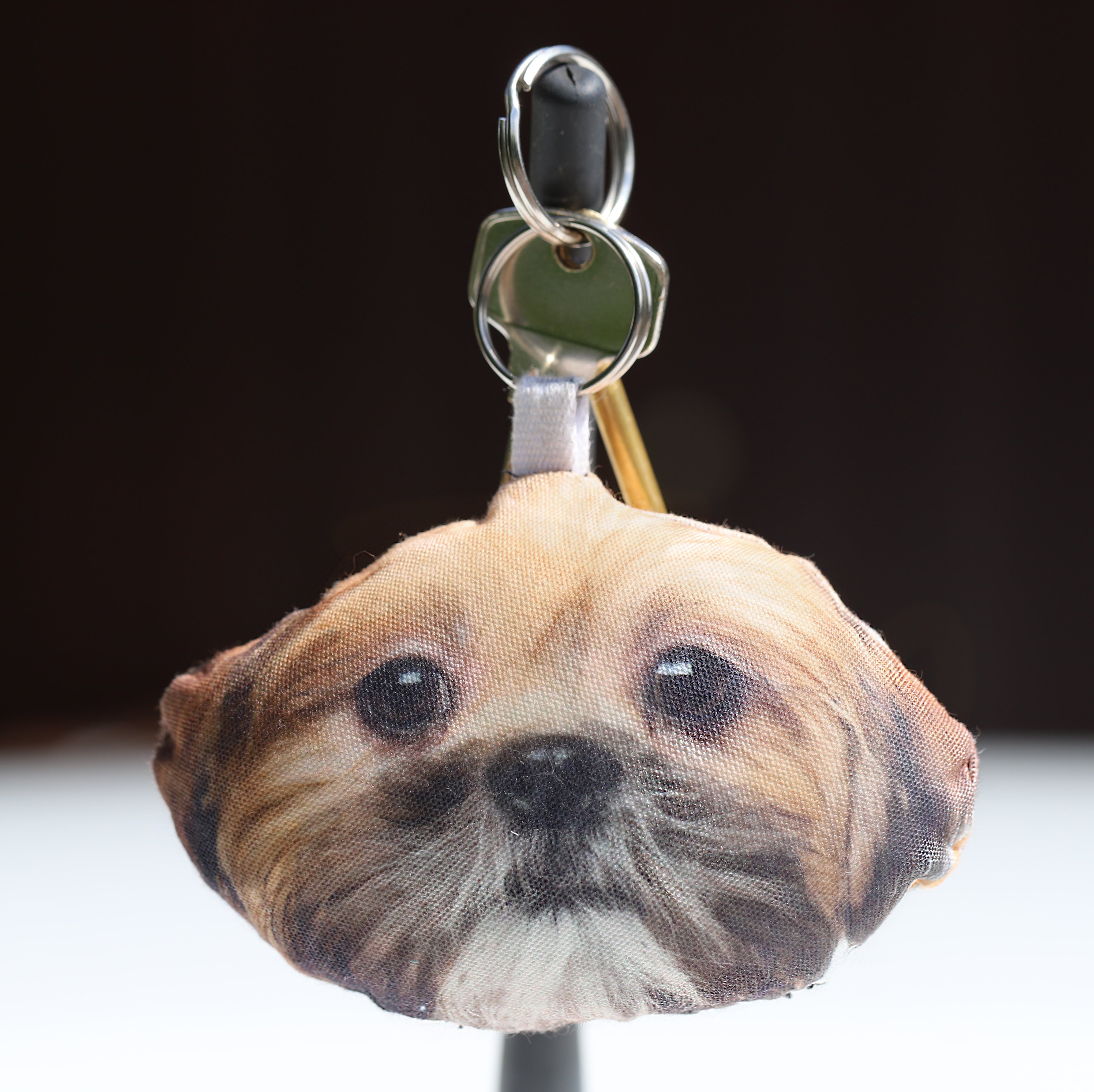 My Dogs Photo On A Keyring
