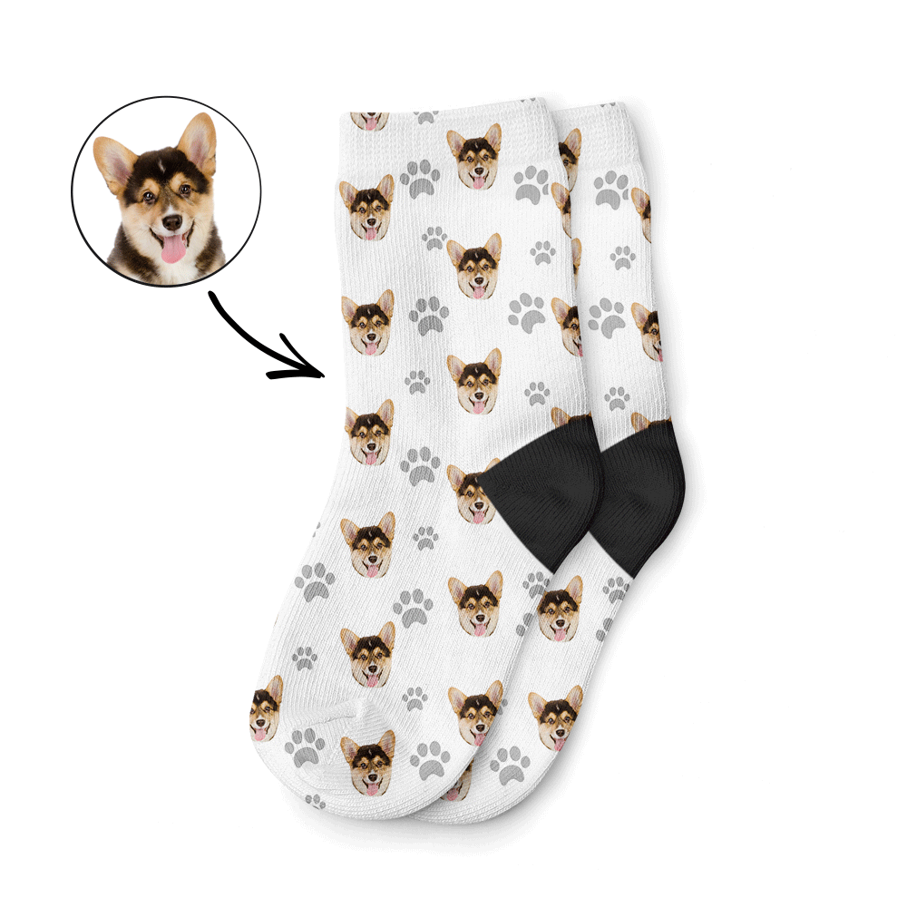 Dogs with white sales socks