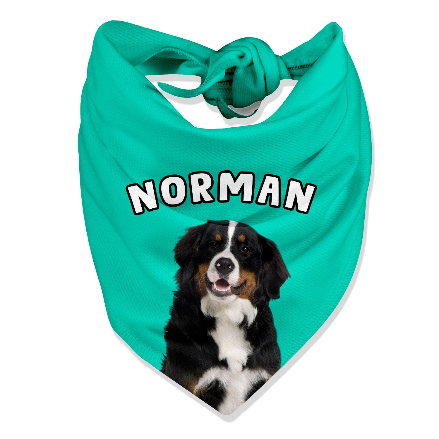 personalised dog bandana with photo and name