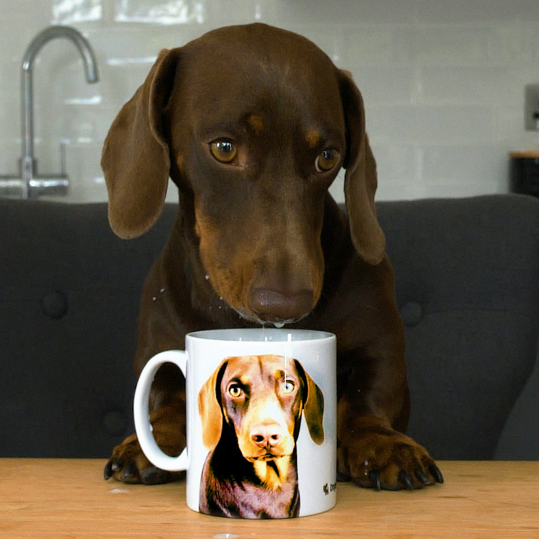 Your Dogs Face On A Mug
