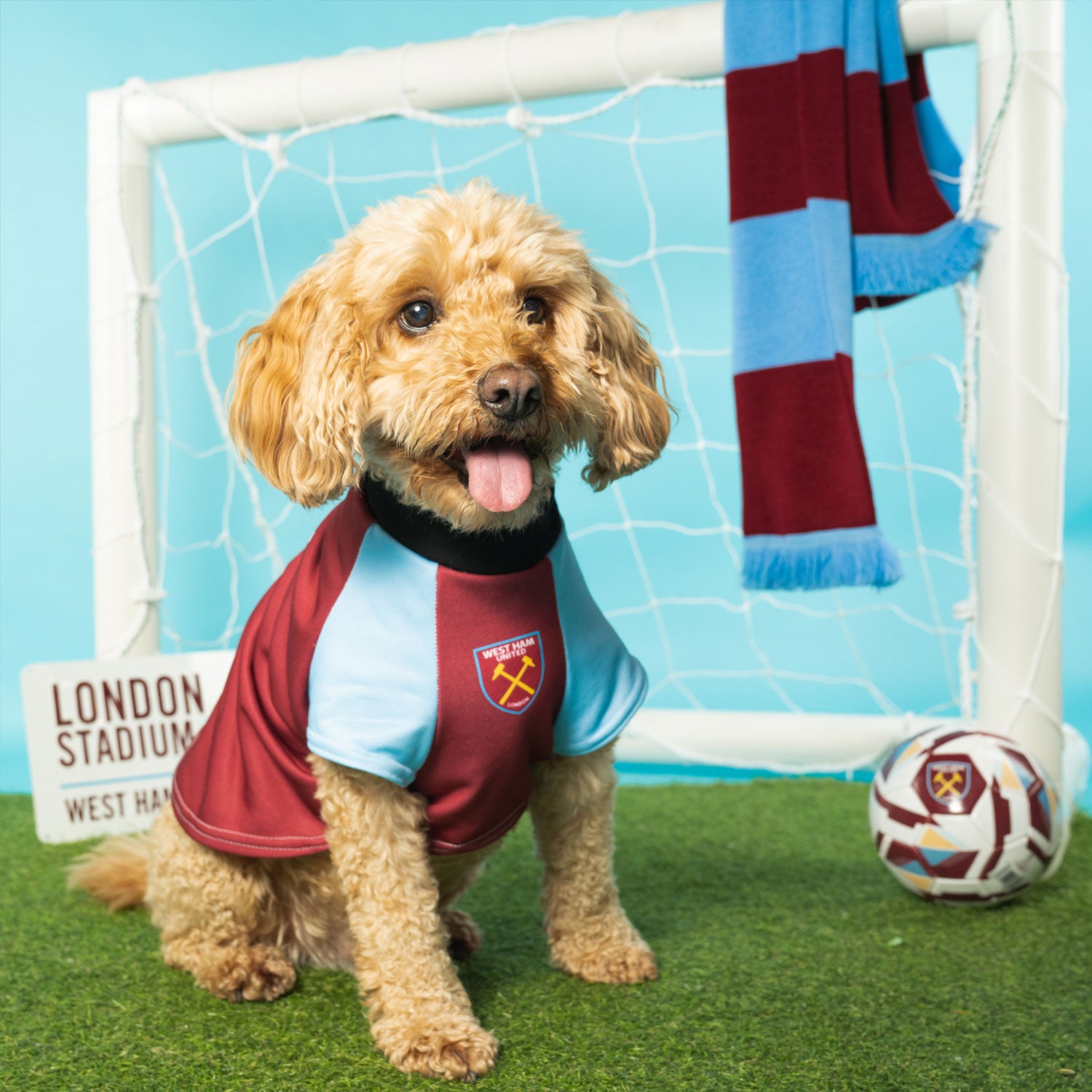 Personalised West Ham Dog Shirt