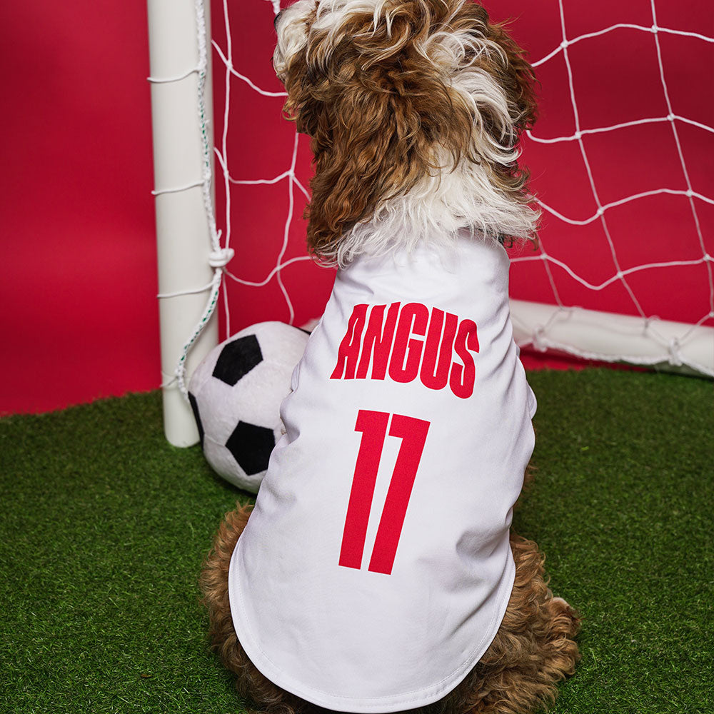 Personalised England Football Shirt for Dogs