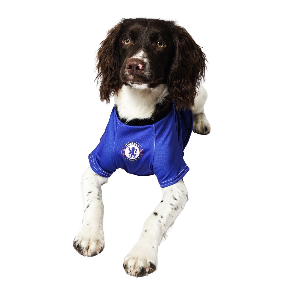 Chelsea Football Shirt For Dogs